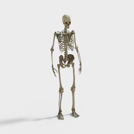 Brown Mannequin 3D Model for Fashion Displays