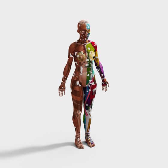 Stylish Low-Polygon Human Anatomy 3D model