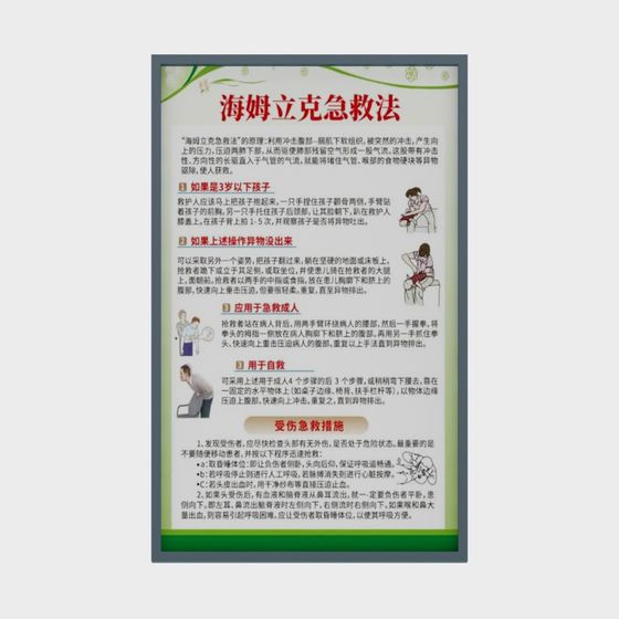 Educational Heimlich Maneuver 3D Model