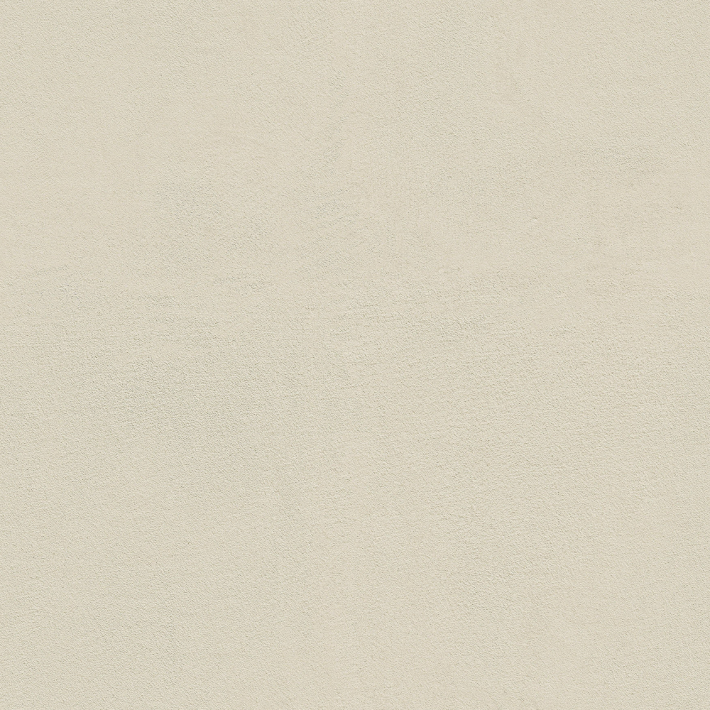 Snow Shower_WS-315 Walnut Milk Drink