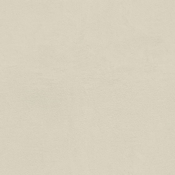 Snow Shower_WS-315 Walnut Milk Drink