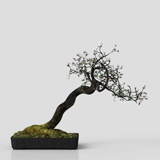 Elegant Bonsai Tree 3D model for Creative Projects