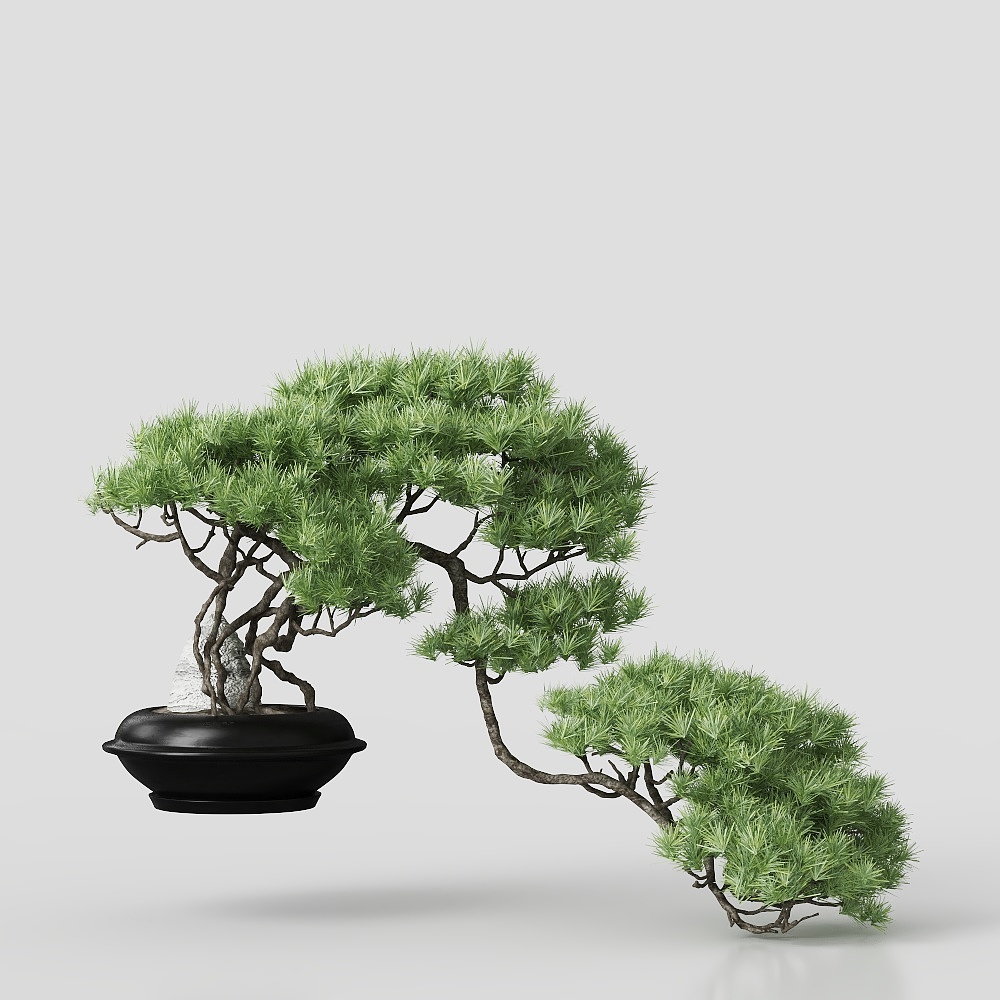 Plante en Pot - Style Asiatique