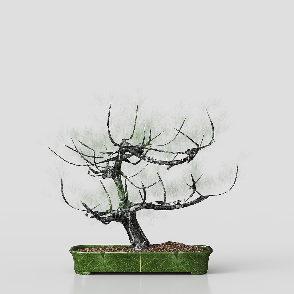 Potted plant Asian Style