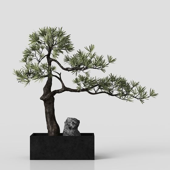 Zen Bonsai 3D Model - Nature and Modern Design
