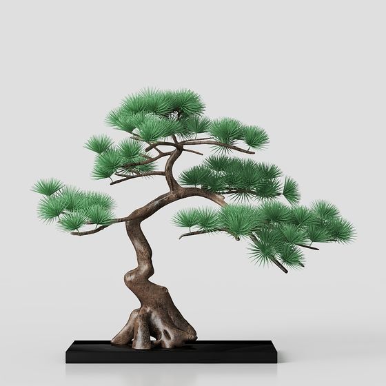 Bonsai Pine Tree 3D model for Natural Aesthetics