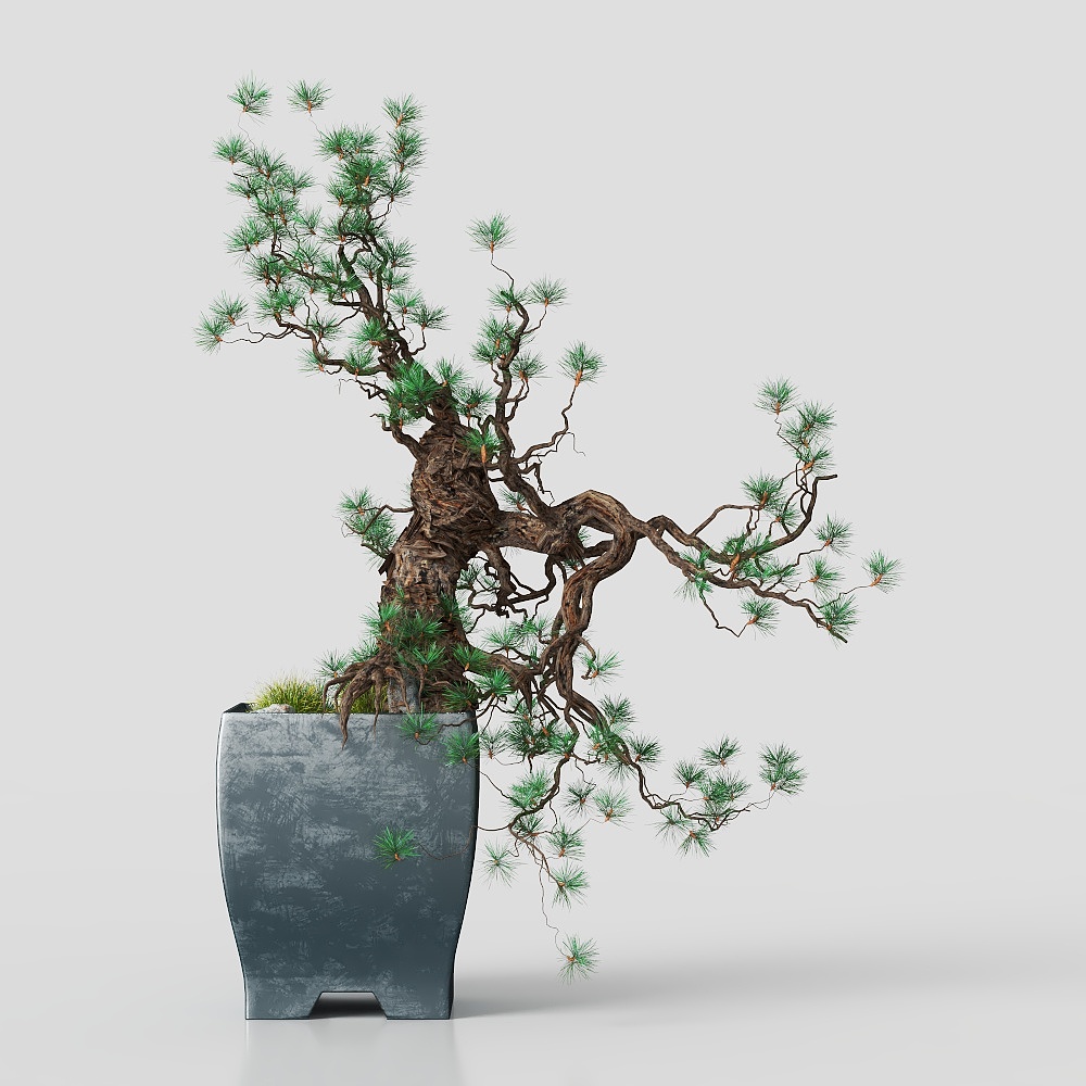 Potted plant Asian Style