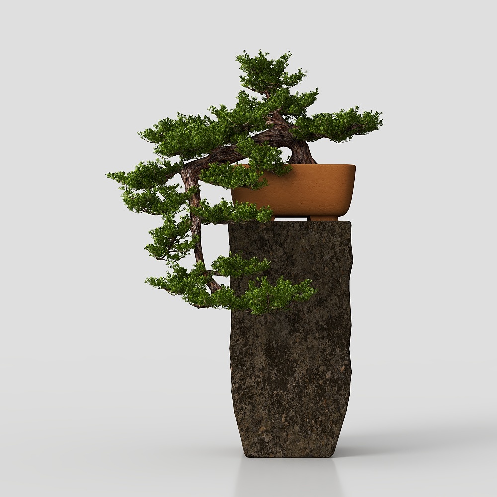 Горшечное Растение в Азиатском Стиле