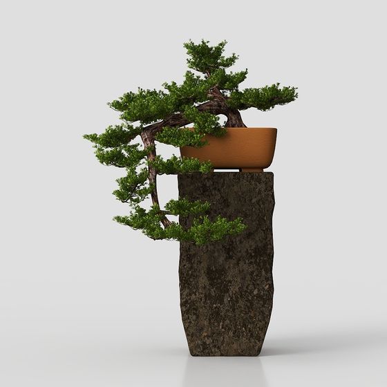 Горшечное Растение в Азиатском Стиле