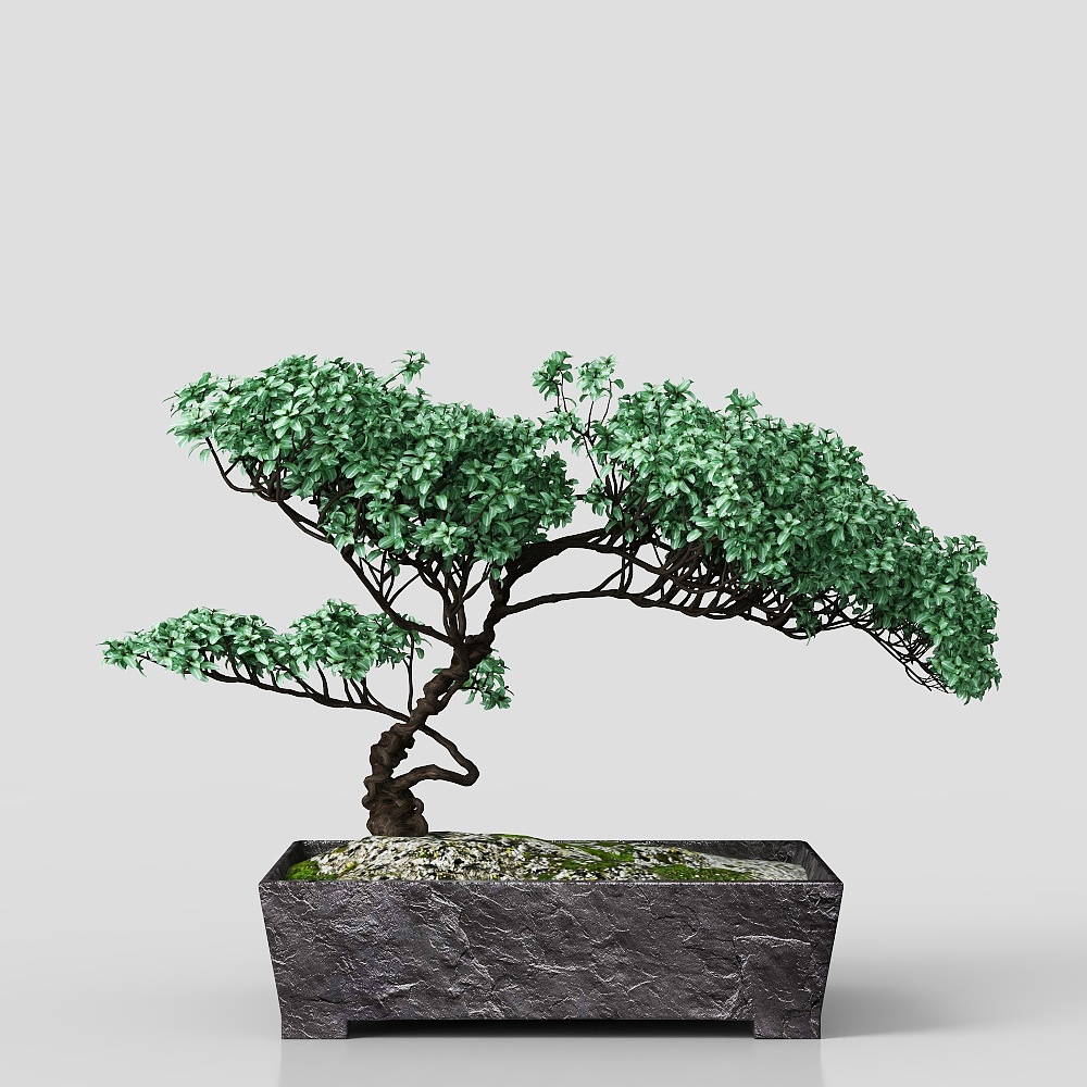 Potted plant Asian Style