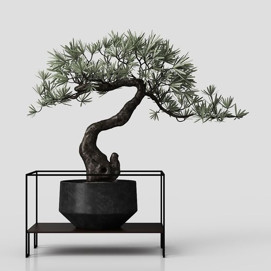 Serene Bonsai 3D Model
