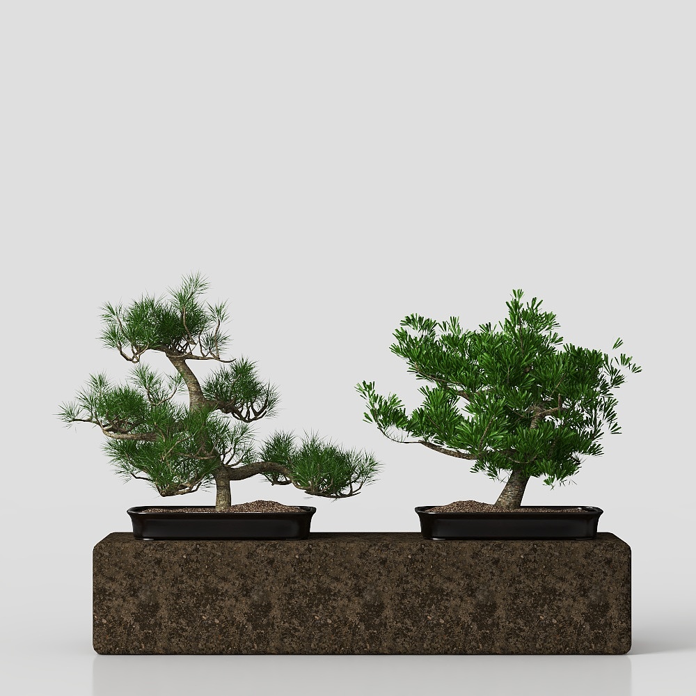 Potted plant Asian Style