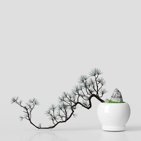 화분 식물 아시아 스타일