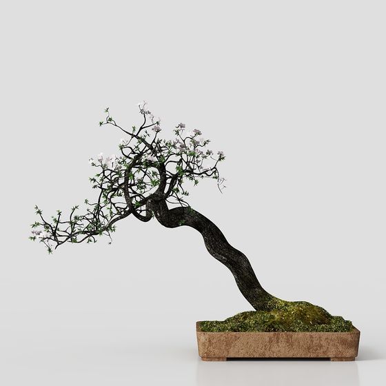 Stylish Bonsai Tree 3D model for Creative Projects