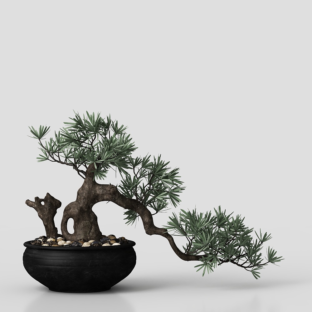 鉢植えの植物 アジアスタイル