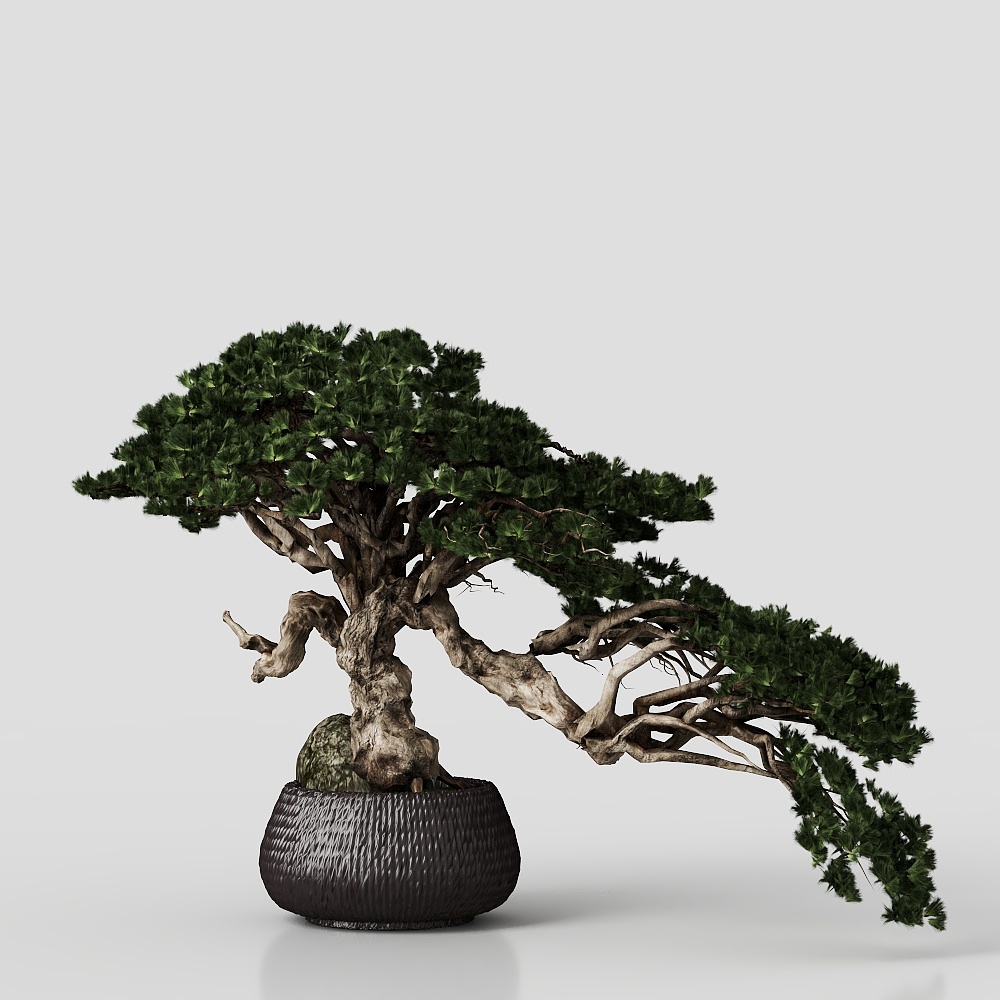 Potted plant Asian Style