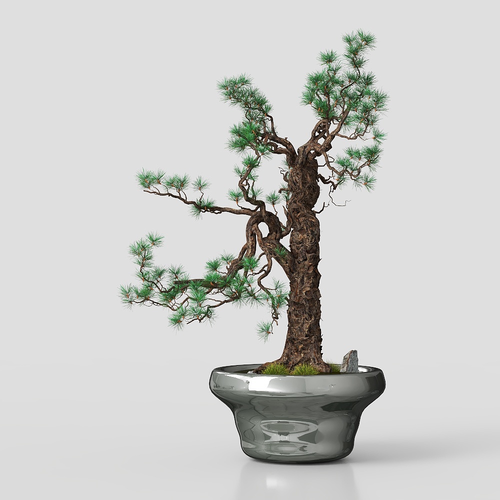 Potted plant Asian Style