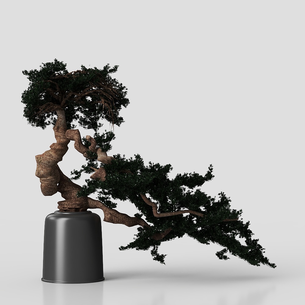 Potted plant Asian Style