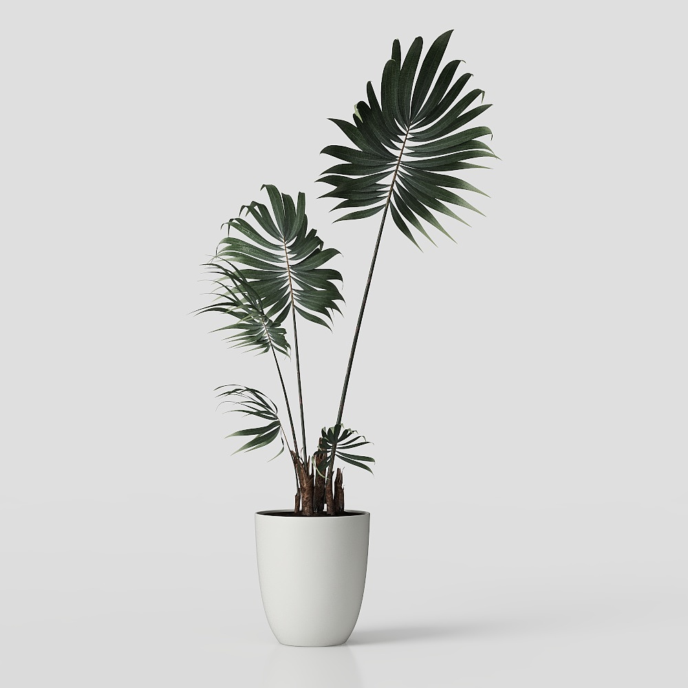 การตกแต่งต้นไม้สมัยใหม่