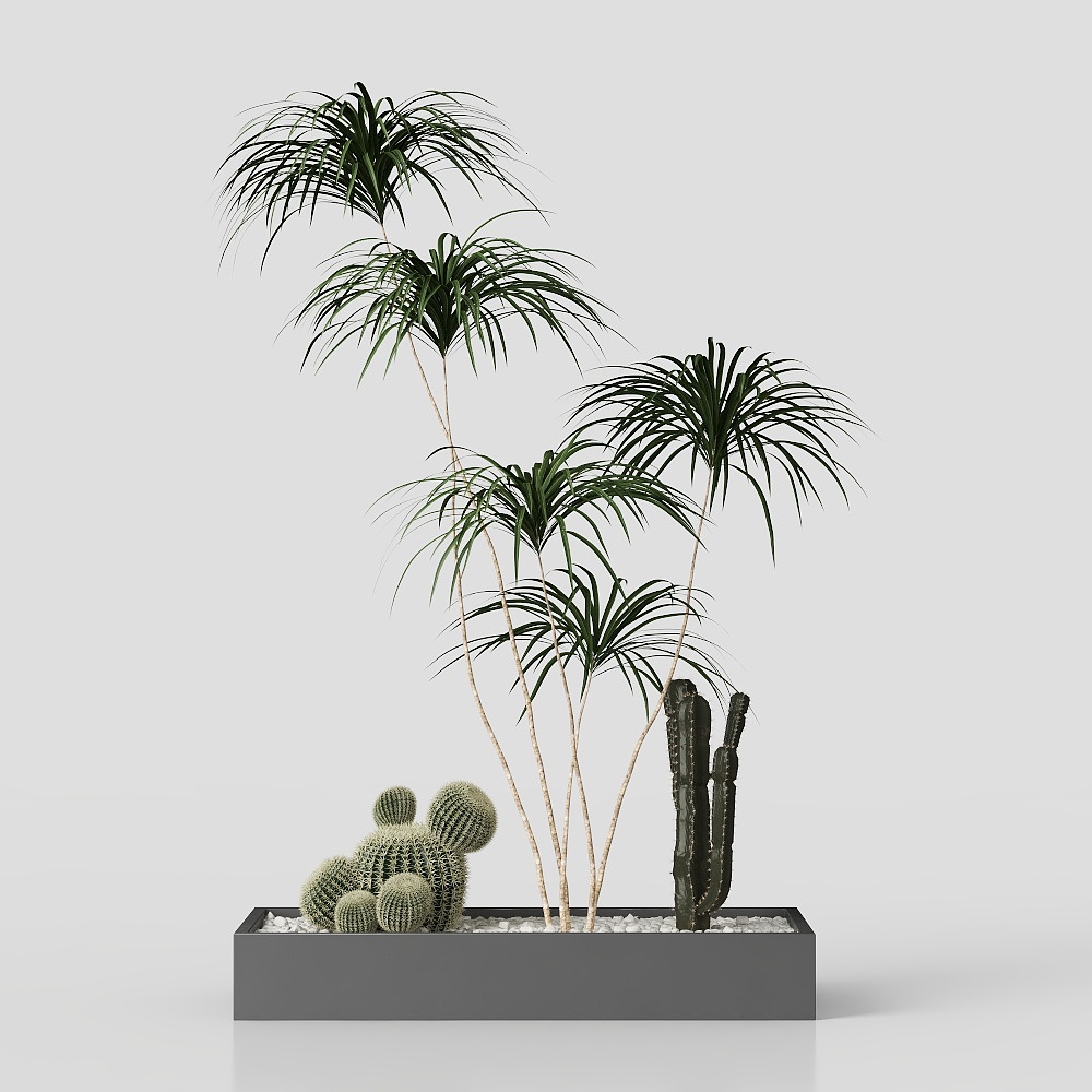 Đồ trang trí cây cảnh hiện đại