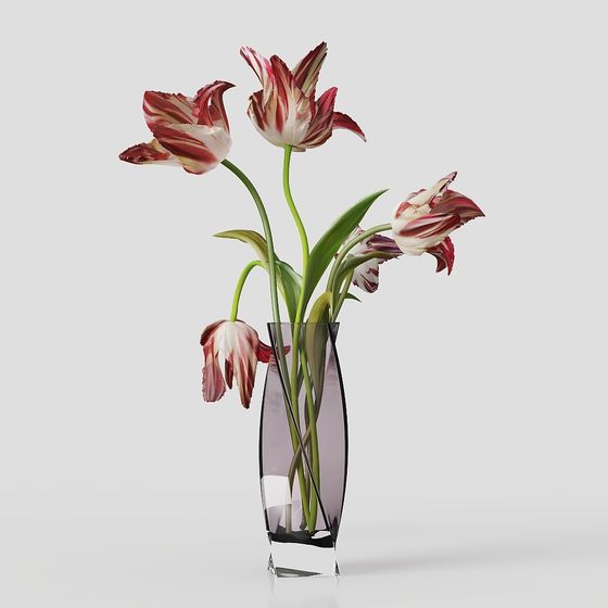 Trang trí cây xanh hiện đại