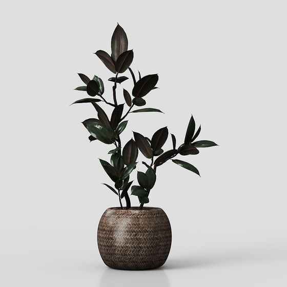 Wabi-Sabi Pflanzen-Dekor