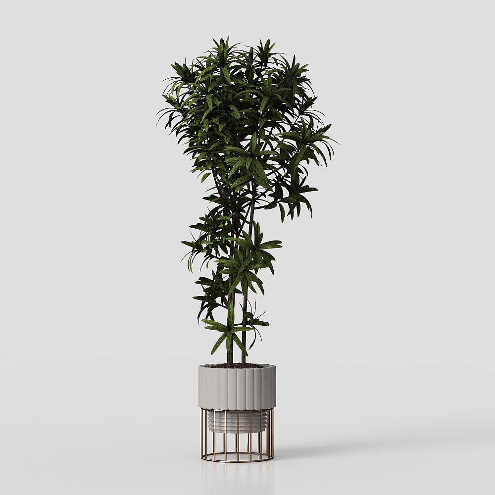 การตกแต่งต้นไม้สไตล์วาบิ-ซาบิ