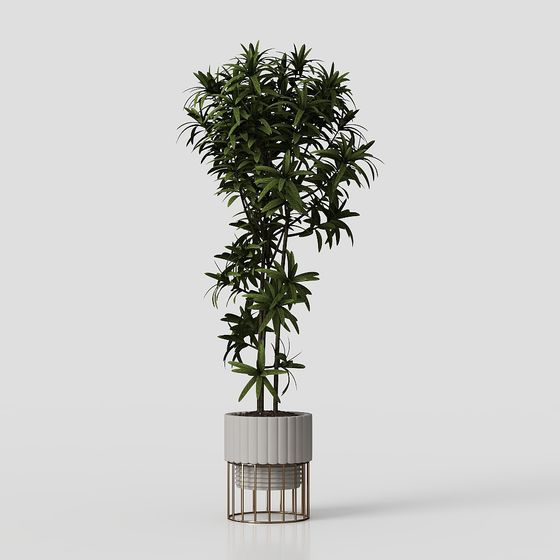 การตกแต่งต้นไม้สไตล์วาบิ-ซาบิ