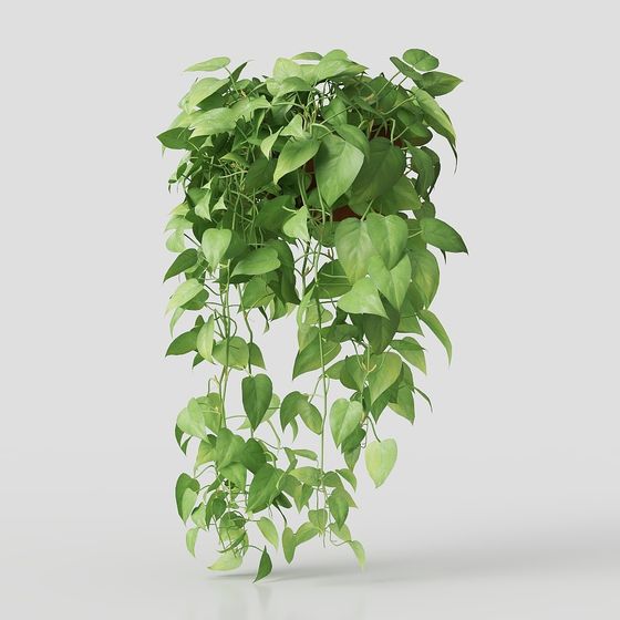 ของตกแต่งโรงงานสีเขียวสไตล์อินดัสเทรียล