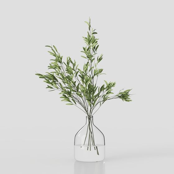 Décoration de plante moderne