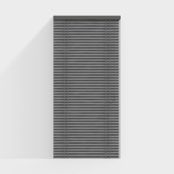 Blinds Door Curtain 3D Model