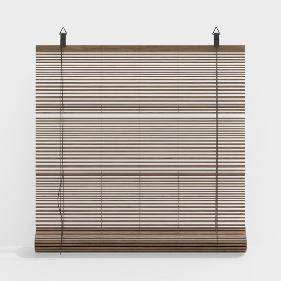 Charming Wooden Shutter 3D model