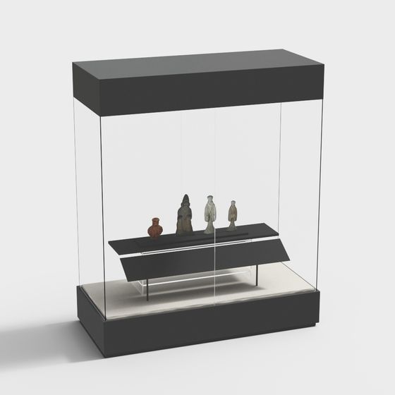 Museum Display Case 3D model