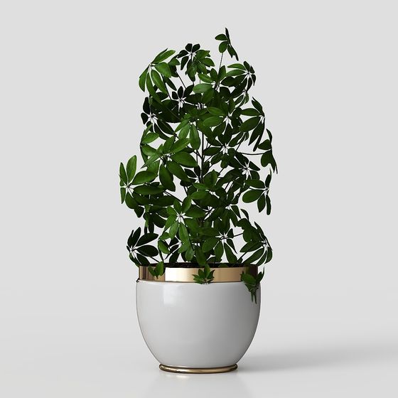 Elegantly Crafted Plant Pot 3D Model