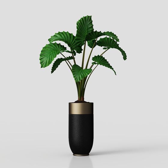 Vibrant Greenery Potted Plant 3D model