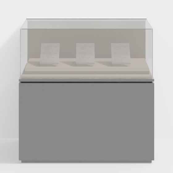 Showcase 3D Model - Minimalist Aesthetic Design