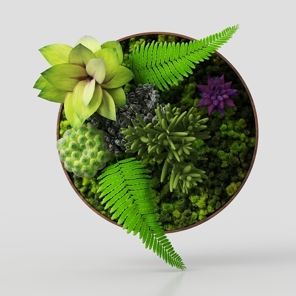 Plant shellwall