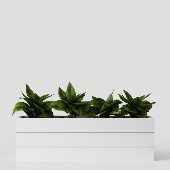 Plantación de macetas