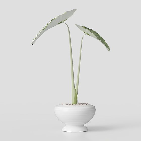 Tropical Style Plant 3D model