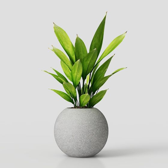 plantas en maceta modernas