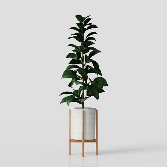 Stylish Urban Green Plant 3D model