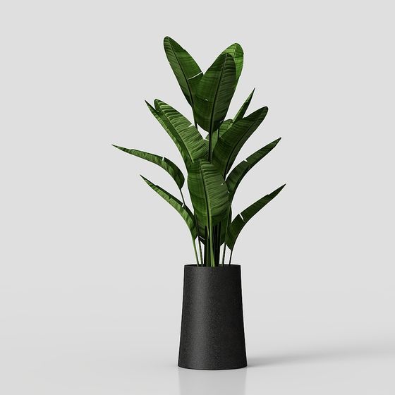 Tropical Low-Poly Banana Plant 3D model