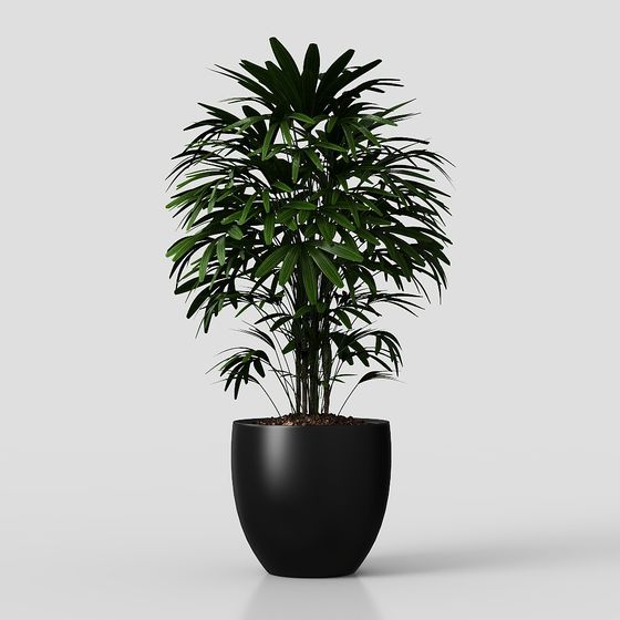 Stylish Indoor Palm Plant 3D Model for Modern Spaces