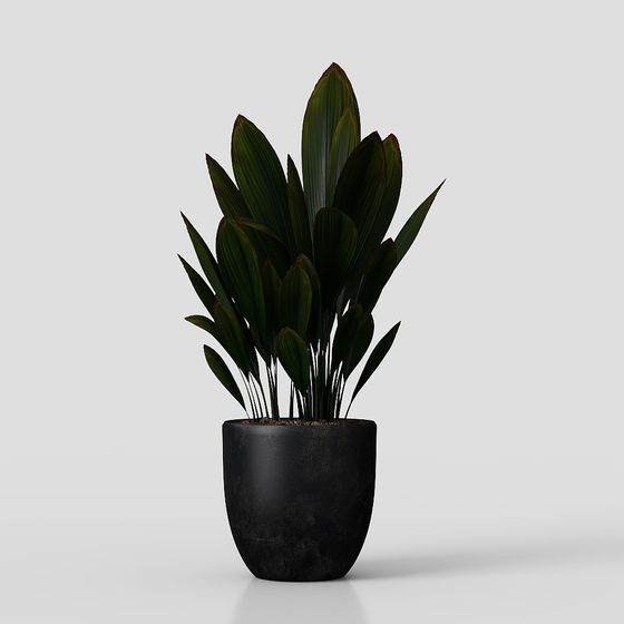 Indoor Green Plant 3D model for Creative Spaces