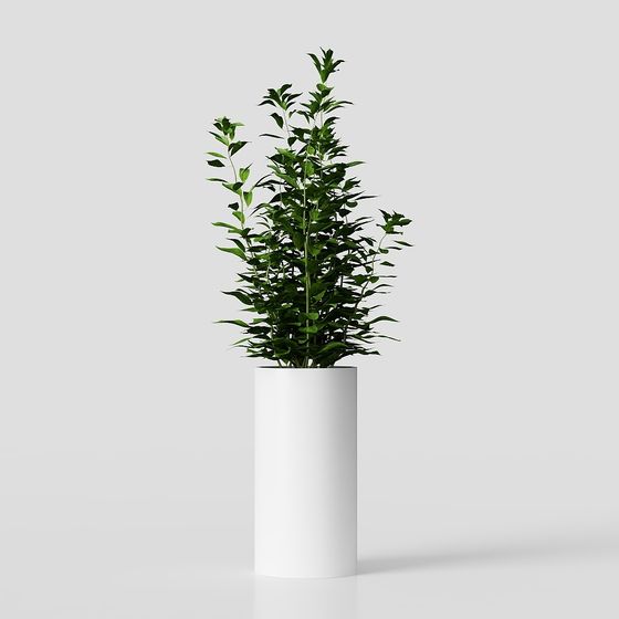 Stylish Low-Poly Potted Plant 3D Model