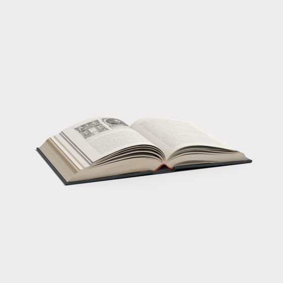 The Book of Wisdom 3D model