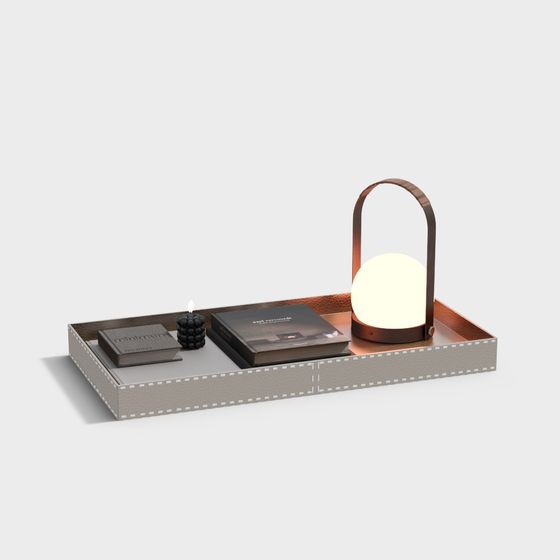 Elegant Leather Tray and Table Lamp 3D model