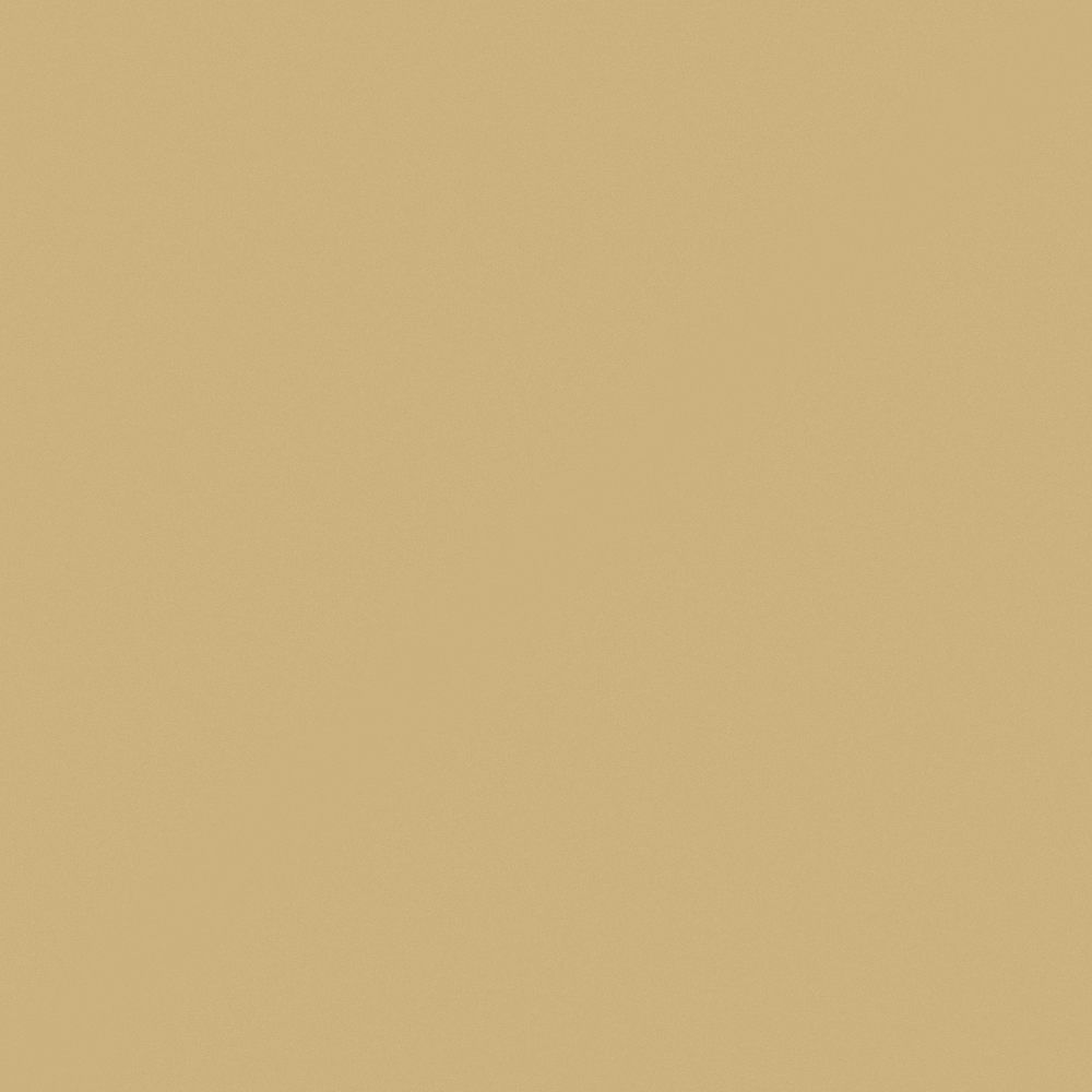 Sand-faced stainless steel