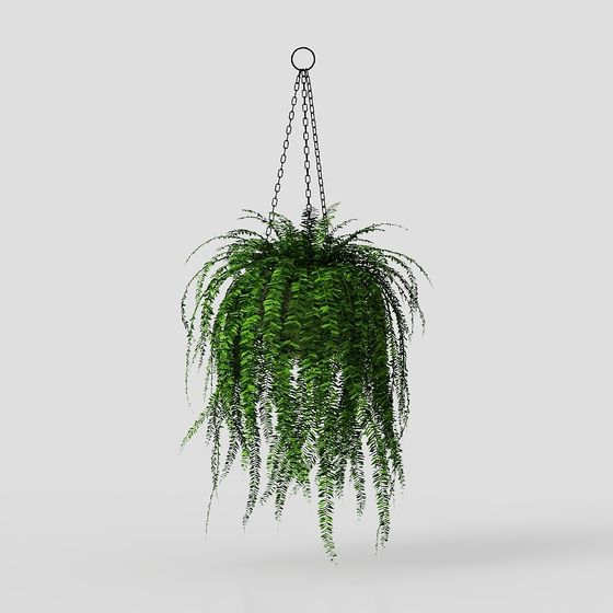 Lush Hanging Plant 3D model Bringing Nature Indoors
