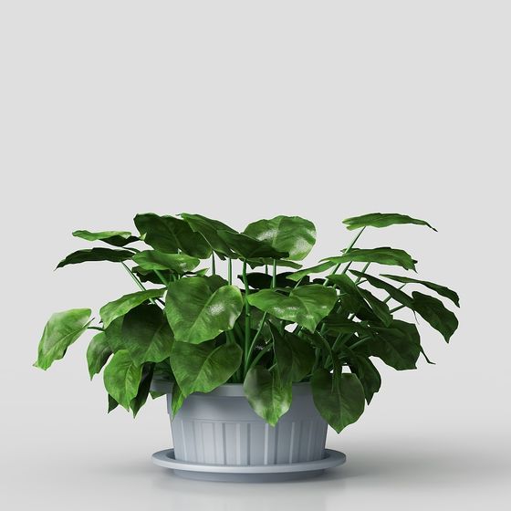 Stylish Indoor Plant 3D Model